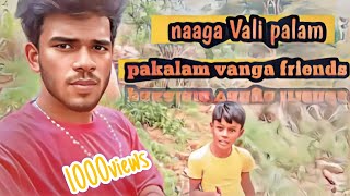 Naanga😃 palam pakala vanga friendsnew tranding vairalreels [upl. by Ainna434]