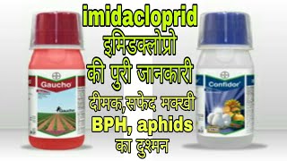 दीमक सफेद मक्खी BHP का दुश्मन एक वार में सब साफimidacloprid insecticide full information [upl. by Naig398]