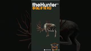 ALCE LENDÁRIO NO THE HUNTER CALL OF THE WILD [upl. by Nabla]