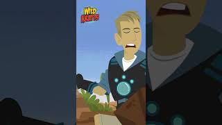 Activate Rattlesnake Powers  Wild Kratts [upl. by Arbed]