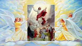 Holy Rosary  Glorious Mysteries  Wednesday amp Sunday [upl. by Giarc]