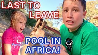 Last to leave pool in Africa wins 10000 [upl. by Neerroc]