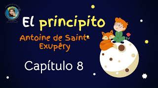 Audiolibro El principito Capitulo 8 Antoine de Saint Exupéry [upl. by Arde]