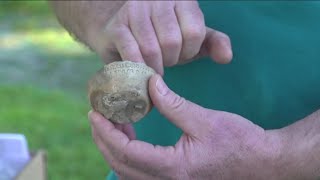 From gold to dust historic Boise Assay Office unearths mining era artifacts [upl. by Nolyarb27]