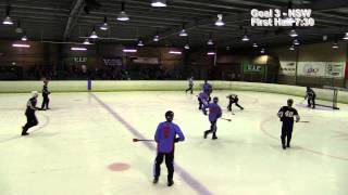 Broomball Australia Nationals 2014  Mens Elite Final  Goals [upl. by Paik]