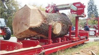 Modern World Sawmilling Equipment Woodcutters Sawmills Dangerous Woodworking Machinery Of The World [upl. by Mij]