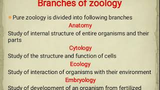 Branches of Zoology [upl. by Fleck]