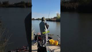 KAD SE KLOPA OBAVEZNO RADI RIBA fish fishing viral motivation lifestyle carp carpfishing [upl. by Atela636]