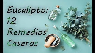 El Eucalipto12 de sus propiedades medicinales mas reconocidas [upl. by Edwyna]