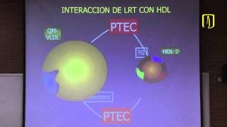 Metabolismo de lípidos  Bioquímica médica [upl. by Essirehs]