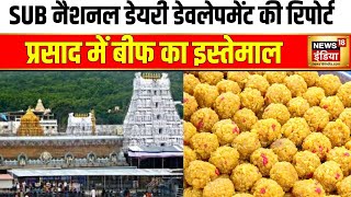 Tirupati Balaji Temple SUB नैशनल डेयरी डेवलेपमेंट की रिपोर्ट प्रसाद के लड्डू में बीफ का इस्तेमाल [upl. by Madda]