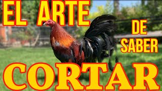 EL ARTE DE SABER CORTAR [upl. by Lorita]