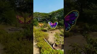 Butterfly Garden Ahmed Nagar ￼ travel nature viralvideo [upl. by Aneloj]