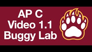 AP Video 11  Buggy Lab [upl. by Sifan]