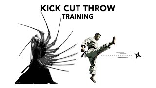 kick cut throw training battojutsu karate shurikenjutsu martialarts ninja samurai [upl. by Ahtnamys]