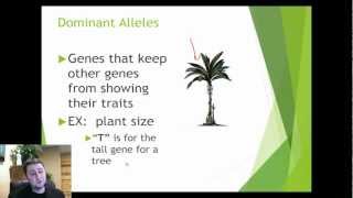 Introduction to Genetic Crosses [upl. by Ssilem]