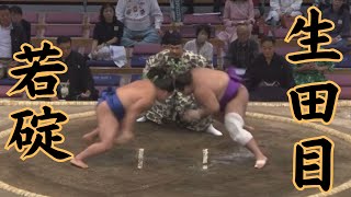 生田目（二子山部屋）VS若碇 令和6年11月場5日目sumo 相撲 二子山部屋 [upl. by Veriee883]