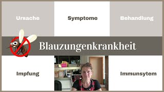 Blauzungenkrankheit  Ursache  Symptome  Behandlung  Impfung  Immunsystem  Fallbeispiel Schafe [upl. by Tebor]