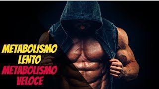 METABOLISMO  Come Velocizzarlo o Rallentarlo  Ho il Metabolismo Lento INGRASSO SUBITO [upl. by Adnilemreh197]