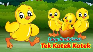 Lagu Anak Anak  Tek Kotek Kotek  Lagu Anak Lucu  Anak Ayam  Lagu Anak Indonesia [upl. by Liagaba]