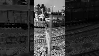 Video vintage treni FS con locomotive E646 177  E428 137 [upl. by Ketchum]