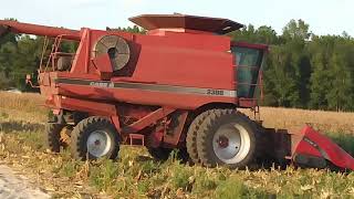 Case ih 2388 with 2208 corn head [upl. by Atinrehs]