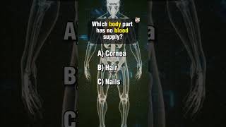 Ultimate Anatomy Quiz Part 1 science anatomyquiz anatomy [upl. by Demodena]