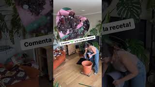 Trasplantando mi monstera gigante [upl. by Majka652]