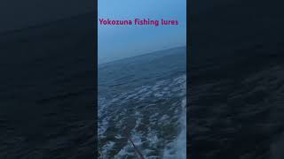 We was using the yokazuna fishing luers lures fishing bassfishing bassfishinglures [upl. by Fricke]