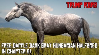 Free Dapple Dark Gray Hungarian Halfbred in Chapter 2 [upl. by Hildebrandt841]