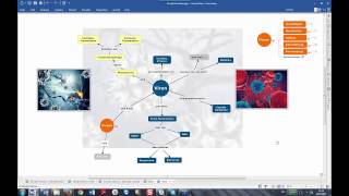 Concept Maps mit MindManager im Handumdrehen [upl. by Langdon498]