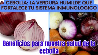 Cebolla La Verdura Humilde que Fortalece tu Sistema Inmunológico [upl. by Llywellyn]