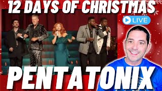 First Time Hearing  Pentatonix  12 days of Christmas [upl. by Lakim461]