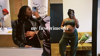 my first trimester [upl. by Dilly]