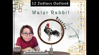 Rooster in 2023 [upl. by Uaerraj]