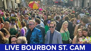 Live New Orleans Mardi Gras Bourbon St Camera [upl. by David244]