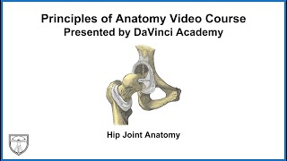 Hip Joint Anatomy and Clinical Pearls Lower Limb Anatomy 3 of 13 [upl. by Armalla67]