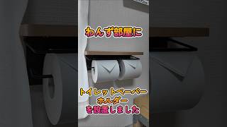 わんず部屋の壁にトイレットペーパーホルダーを取付 shorts イタグレ ミニピン [upl. by Hans]