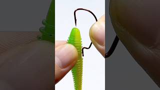 Remember best fishing bait tips fishing shorts [upl. by Ylellan]