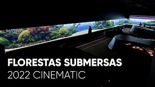 The Best Aquascape in the World Florestas Submersas  The Ultimate Nature Aquarium by Takashi Amano [upl. by Trebreh]