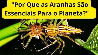 quotPor Que as Aranhas São Essenciais Para o Planetaquot [upl. by Isahella335]