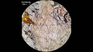 Hornblende tutorial Optical mineralogy [upl. by Tj]