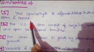 Similarities and desimilarties of Gymnosperm with Angiosperm [upl. by Elockin]