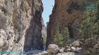 Crete  Samaria Gorge [upl. by Namilus]