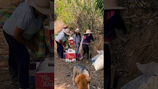 Estuve un mes en casa de mis papás y ahora me regreso a la mía campesina tradiciones [upl. by Shields928]