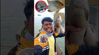 Jindagi Me 🐬Ye Galti 😯Mat🐟 Karna🐠 minivlog fishing shorts dailyvlog fish [upl. by Wooster]