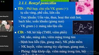 Thuốc kháng sinh nhóm BetaLactamBenzyl Penicillin Penicillin GBenzathin PenicillinPhenoxymetyl [upl. by Nnainot]