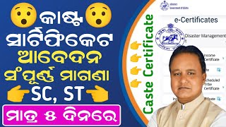 How to Apply Caste Certificate In Odisha  SC Caste Certificate Apply Online  SC ST OBC Certificate [upl. by Bowen]