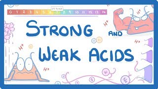 GCSE Chemistry  The pH Scale amp Strong vs Weak Acids Higher Tier 35 [upl. by Milty]