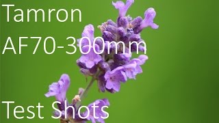 Tamron AF 70300m f456 Di LD Macro Lens Test Shots [upl. by Auod]